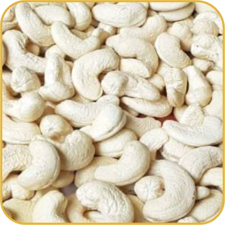 Lali Balaji HORECA Cashew W-240 Premium 1kg